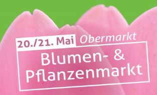 Blumen-_und_Pflanzenmarkt_2022.JPG